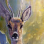The Roebucks Realm, thumbnail 4 of 10
