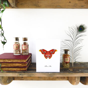 Atlas Moth A6 Greetings Cards, 2 of 7