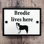 Personalised Dog Sign With Any Breed, thumbnail 1 of 4