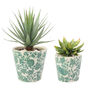 Set Of Two Green Floral Plant Pots, thumbnail 1 of 4