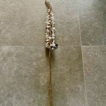 White And Gold Eremurus Spray, 2 of 6