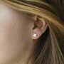 Sterling Silver Solid Star Stud Earrings, thumbnail 2 of 4