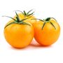 Tomato Plants 'Tumbling Tom Yellow' 3 X Plug Plant Pack, thumbnail 1 of 7