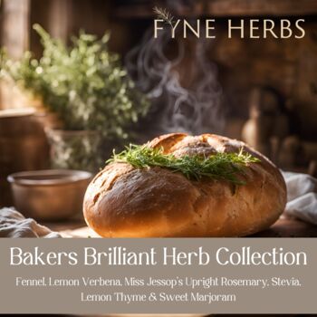 Bakers Brilliant Herb Collection, 2 of 11