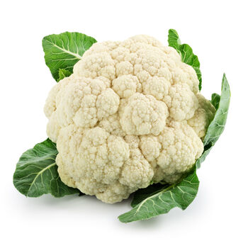 Cauliflower 'White Excel' Plug Plant Pack, 5 of 5