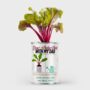 Grow Your Own Beetroot Kit Personalised Name Tin, thumbnail 1 of 7
