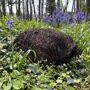 Biscuit The Hedgehog Brushwood House With Nesting Straw, thumbnail 7 of 7