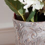 Inzola Botanical Planter, thumbnail 4 of 5