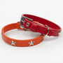 Star Studded Leather Dog Collar, thumbnail 1 of 7