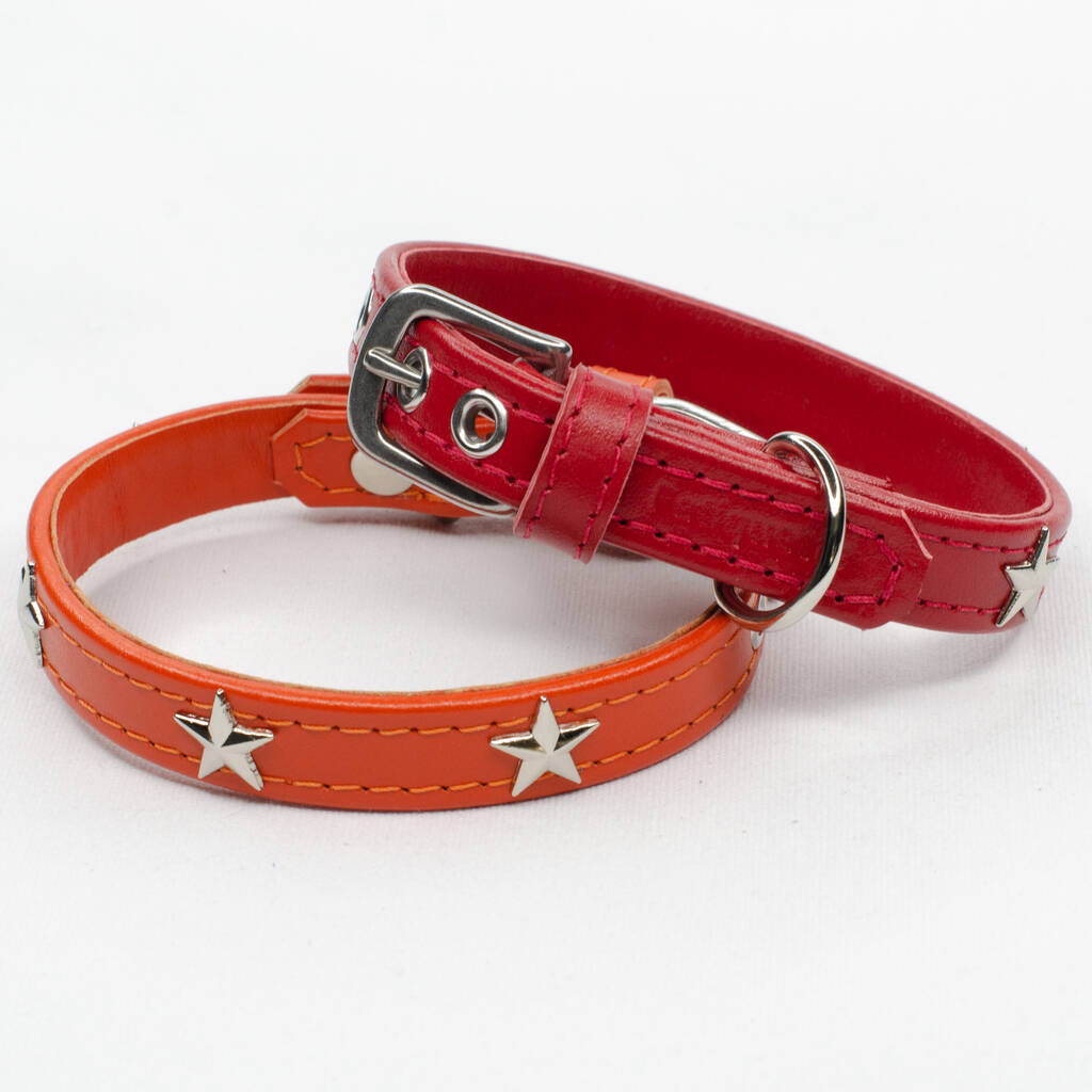 Star Studded Leather Dog Collar, 1 of 7