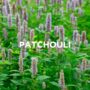 Mineral Bath Salts Lavender + Patchouli, thumbnail 5 of 6