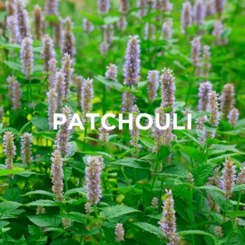 Mineral Bath Salts Lavender + Patchouli, 5 of 6