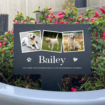 Personalised Large Pet Photo Memorial Slate Plant Marker, 4 of 7