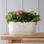 Engraved 'Be Leaf In Yourself' Planter, thumbnail 1 of 4