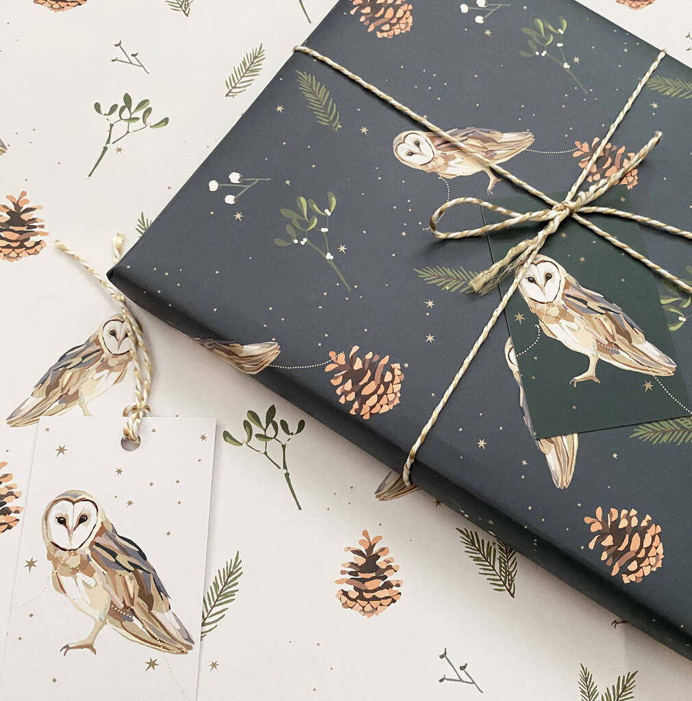Owl And Stars Wrapping Paper