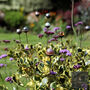 Marble Suncatcher Perfect For Adding Colour And Movement To Your Garden, thumbnail 1 of 12