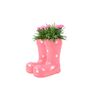 Pink Polka Dot Wellies Planter With Dianthus Plant, thumbnail 5 of 5