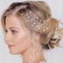 Large Swarovski Crystal Wedding Hair Pins Maisie, thumbnail 1 of 12