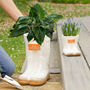Personalised White Welly Boots Planters Gift Set, thumbnail 1 of 8