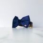 Party Luxe Velvet Dog Bow Ties, thumbnail 5 of 12