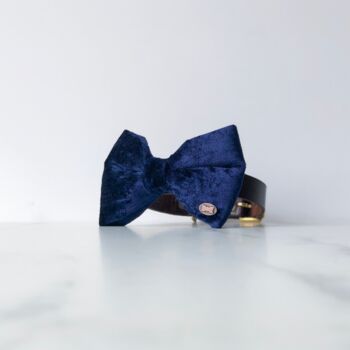 Party Luxe Velvet Dog Bow Ties, 5 of 12