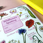 Wildflowers Spotting Journal Notepad, thumbnail 7 of 11