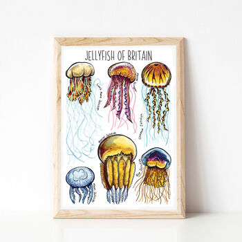 Jellyfish Of Britain Wildlife Print, 2 of 10