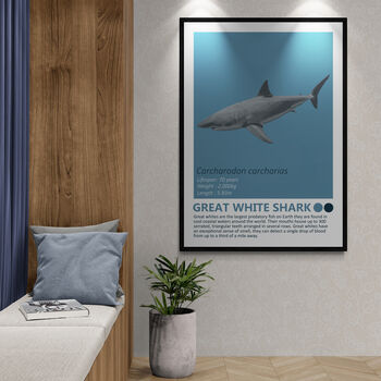 Sharks And Orca Wall Art Prints Set Of Seven, 2 of 8