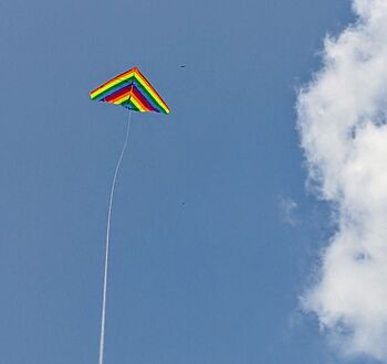 Rainbow Delta Kite By Morgan Kites, 5 of 5
