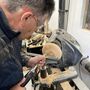 Full Day Woodturning Experience Near Wakefield, thumbnail 1 of 3