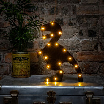 Black T Rex Dinosaur LED Night Light, 6 of 6