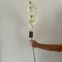Single Stem White Orchard, thumbnail 1 of 5