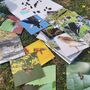 Birds Of Prey, Insects, Farm And Wild Animals Spellings, thumbnail 3 of 12