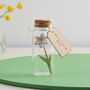 Miniature Flower Keepsake Bottle Memorial Gift, thumbnail 7 of 8
