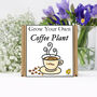 Gardening Gift For Her Him. Grow Your Own Coffee Plant, thumbnail 2 of 4