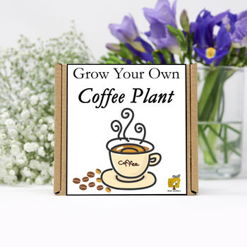 Gardening Gift For Her Him. Grow Your Own Coffee Plant, 2 of 4