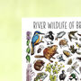 River Wildlife Of Britain Greeting Card, thumbnail 3 of 9