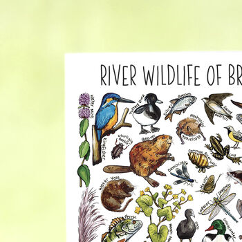 River Wildlife Of Britain Greeting Card, 3 of 9