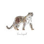Snow Leopard Personalised Watercolour Fine Art Print, thumbnail 3 of 4