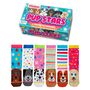 United Oddsocks Pup Stars Girls Gift Box Set, thumbnail 1 of 4
