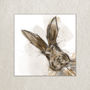 Illustrated Hare Print, Rabbit Print Illustration, thumbnail 2 of 3