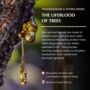 Frankincense And Myrrh Natural Mist, thumbnail 5 of 7
