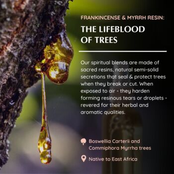 Frankincense And Myrrh Natural Mist, 5 of 7