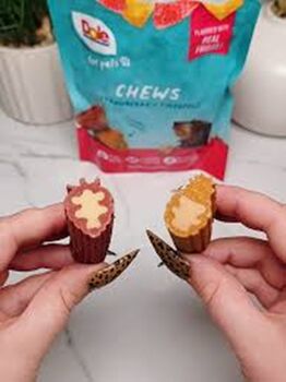 Vegan, Fruity Dog Chews, Bites, And Jerky, 6 of 6