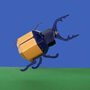 Create Your Own Super Stag Beetle, thumbnail 1 of 4