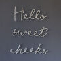 'Hello Sweet Cheeks' Wire Wall Art, thumbnail 2 of 4