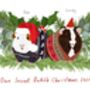 Personalised Social Bubble Family Christmas Guinea Pig, thumbnail 4 of 4