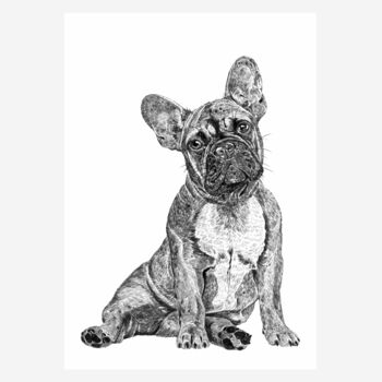 Frenchie Dog Print By Ros Shiers | notonthehighstreet.com