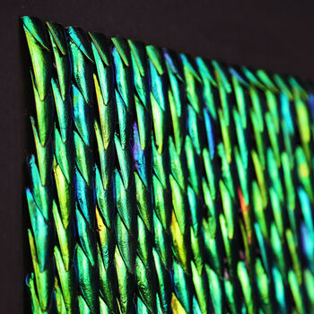 Jewel Beetle Elytra Lucia Metamorphosis Mosaic Natural Art Frame, 2 of 2