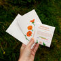 Welsh Pot Marigold Illustrated Card With Seeds, thumbnail 5 of 8